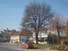 8_BOGOMILOVO_